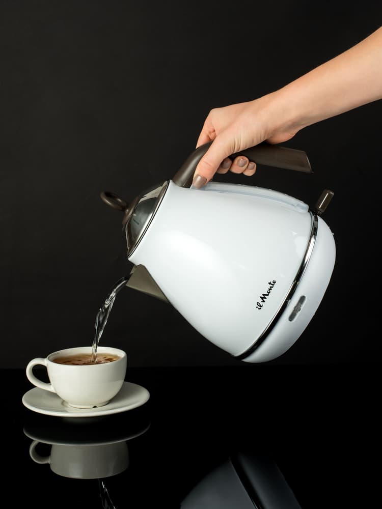 Чайник электрический, Цельнометаллический, Нержавеющая сталь, 1,7 л., il Monte EK-1702 Rustic